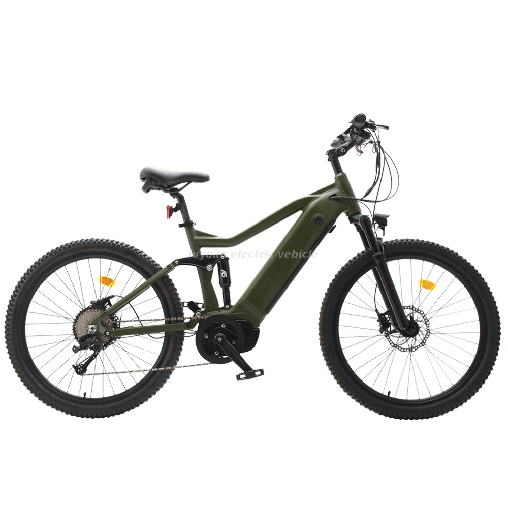 Batería de litio Ncm Kenda Bicicletas eléctricas para adultos