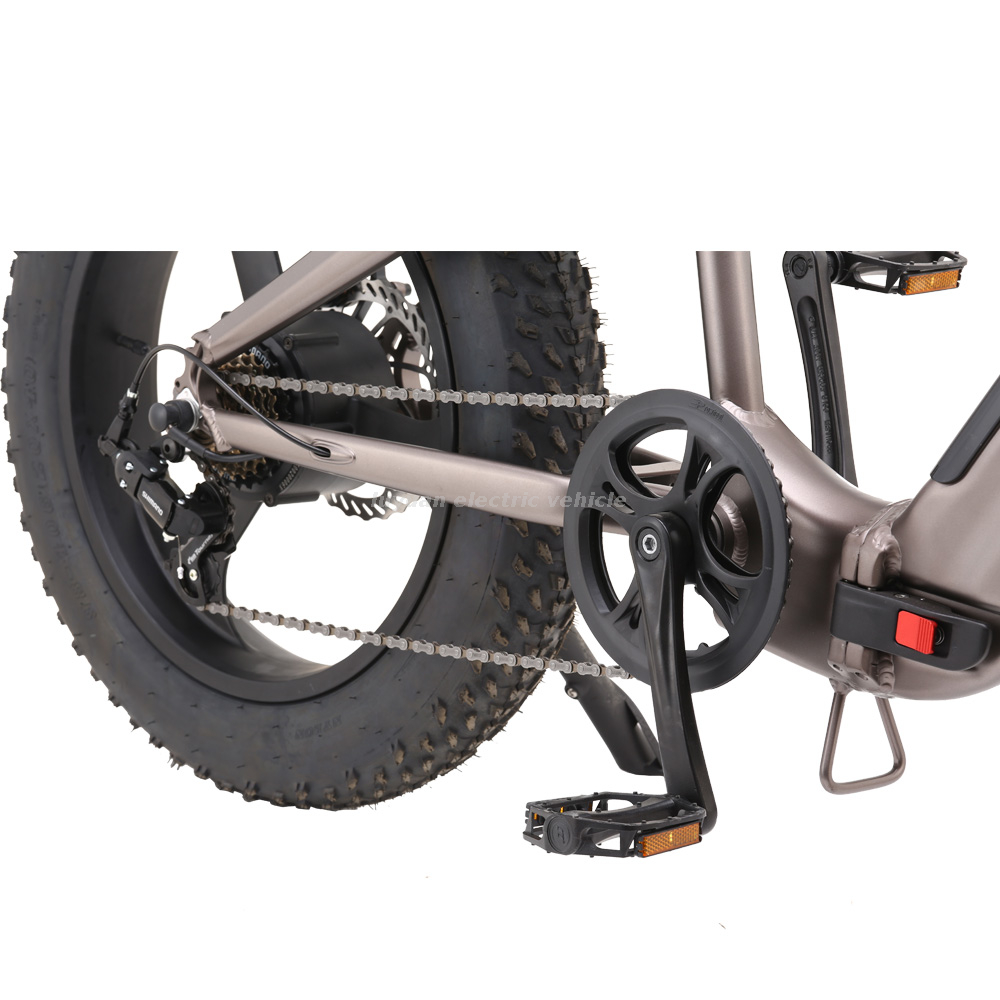 Bicicleta plegable eléctrica Fat Tire FB 02